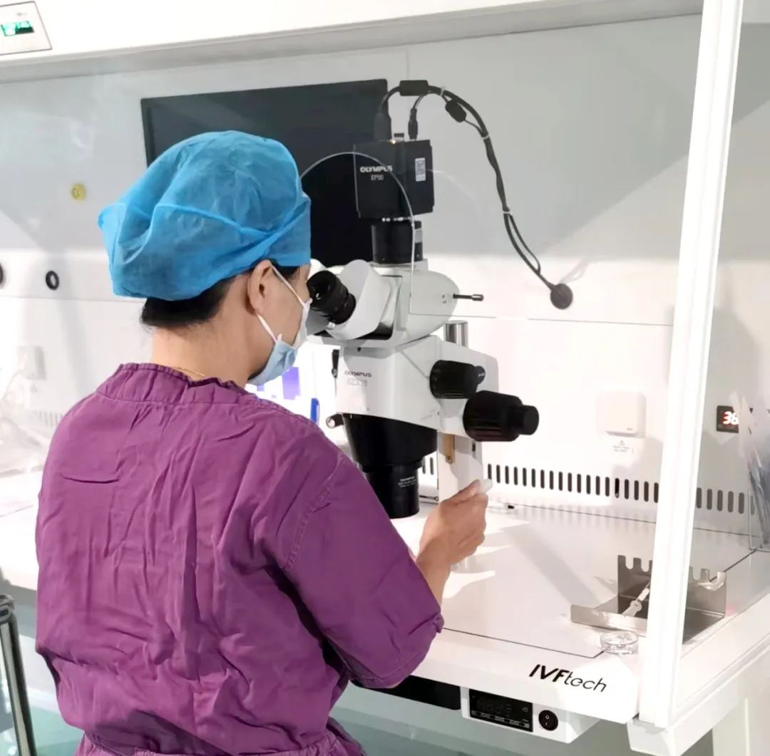 【喜訊】保山首例無精子癥通過試管嬰兒技術助孕成功！